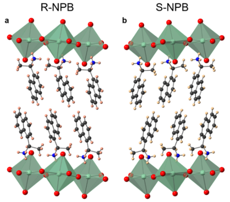 Organic–inorganic hybrid perovskites